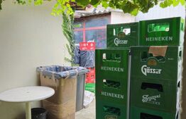 Spatiu comercial, 100 mp, terasa, Bld. Castanilor