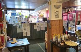 Spatiu comercial, 100 mp, terasa, Bld. Castanilor