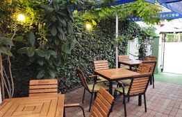 Spatiu comercial, 100 mp, terasa, Bld. Castanilor