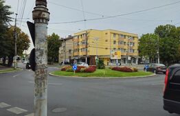 Spatiu comercial, 100 mp, terasa, Bld. Castanilor