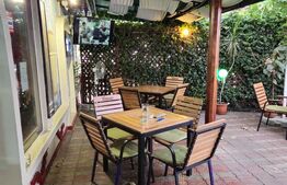 Spatiu comercial, 100 mp, terasa, Bld. Castanilor