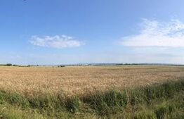 Teren extravilan - 7500mp, zona Sagricom