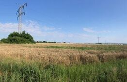 Teren extravilan - 7500mp, zona Sagricom