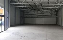 Spatiu comercial de inchiriat ,500mp, Gaesti