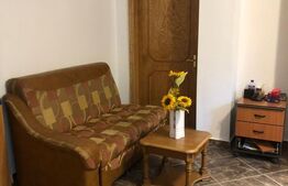 Spatiu comercial,  30 mp, zona central Gaesti