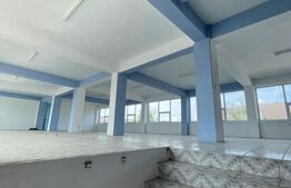 Spatiu comericial, 1360mp, Complex de Natatie