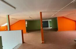 Spatiu comericial, 1360mp, Complex de Natatie