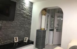 Apartament 3 camere, semidecomadat ,parter , oras  Gaesti 