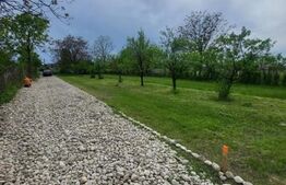 Teren intravilan 800mp, Valea Voievozilor