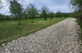 Teren intravilan 800mp, Valea Voievozilor