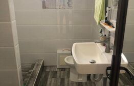 Proprietate doua case si teren 750mp, Targoviste