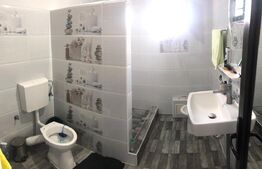 Proprietate doua case si teren 750mp, Targoviste