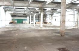 Parc Industrial, 84000 mp, Pucioasa