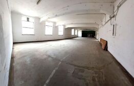 Parc Industrial, 84000 mp, Pucioasa