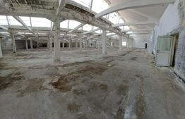 Parc Industrial, 84000 mp, Pucioasa