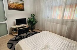 Apartament 3 camere, 50 mp, parter, Micro 11
