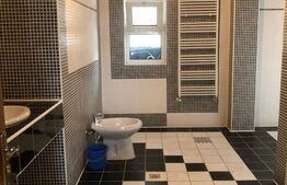 Oportunita!!!Casa individuala, P+1E+M, 250mp, teren 172mp, central Targoviste 