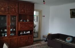 Casă de vacanță , 120mp construiți , 2400mp teren, zona  Gura Ocniței