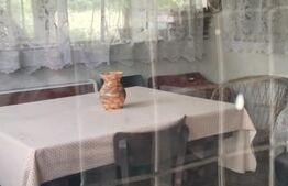 Casă de vacanță , 120mp construiți , 2400mp teren, zona  Gura Ocniței