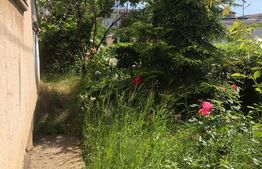 Apartament 3 camere , Parter , Micro 12 