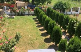 Vila 5 camere achizitie ideala pentru parinti sau familie 