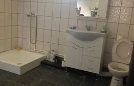 Vila 5 camere achizitie ideala pentru parinti sau familie 