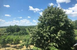 Vila 5 camere achizitie ideala pentru parinti sau familie 