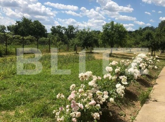Casa de vânzare 5 camere Valea Mare - 152676CV | BLITZ Târgoviște | Poza9
