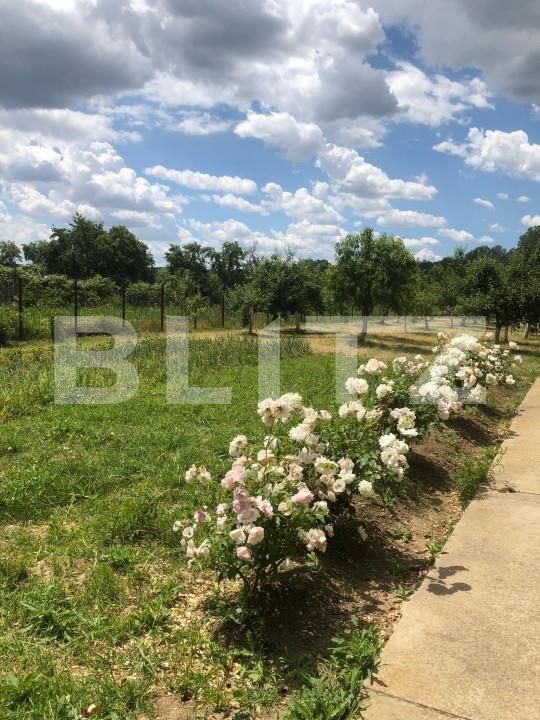 Casa de vânzare 5 camere Valea Mare - 152676CV | BLITZ Târgoviște | Poza9