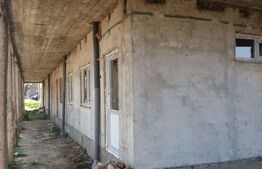 CLADIRE LA ROSU GAESTI, AFACERE 