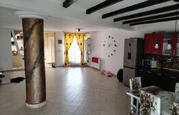 Casă de vacanță cu helesteu 180mp utili, 975mp teren Ulmi