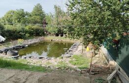 Casă de vacanță cu helesteu 180mp utili, 975mp teren Ulmi