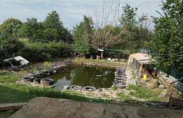 Casă de vacanță cu helesteu 180mp utili, 975mp teren Ulmi