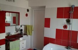 Casă de vacanță cu helesteu 180mp utili, 975mp teren Ulmi