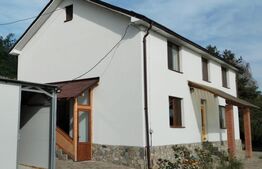 Vilă individuală 246mp utili, teren 667mp, zona Viforîta  