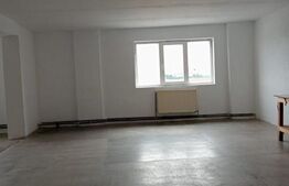 Spațiu industrial de inchiriat 1000mp depozitare sau producție ULMI