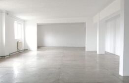 Spațiu industrial de inchiriat 1000mp depozitare sau producție ULMI