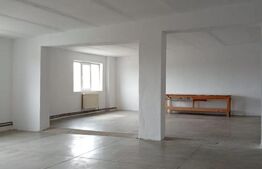 Spațiu industrial de inchiriat 1000mp depozitare sau producție ULMI