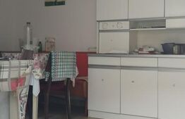 Casa/Vilă Ultracentral 238mp/671mp teren Târgoviște