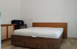 Vilă cu 4 camere in zona Pucioasa