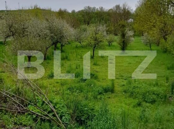 Casa de vânzare 5 camere Bezdead - 154394CV | BLITZ Târgoviște | Poza15