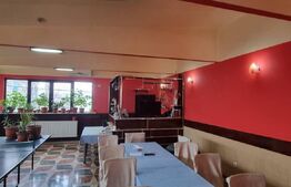 Casă/Vilă suprafată utilă 547mp, P + Etaj, Zonă Centrală Târgoviște