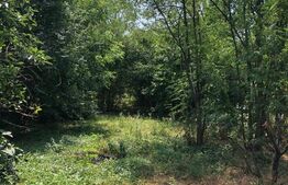 Casa individuala 3 camere Parter 90 mp utili , teren 1980 mp, TITU