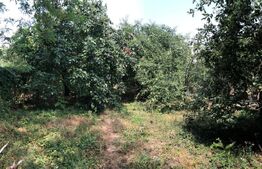 Casa individuala 3 camere Parter 90 mp utili , teren 1980 mp, TITU