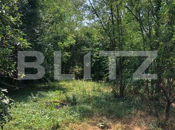 Casa de vânzare 3 camere Exterior Sud - 154975CV | BLITZ Târgoviște | Poza4