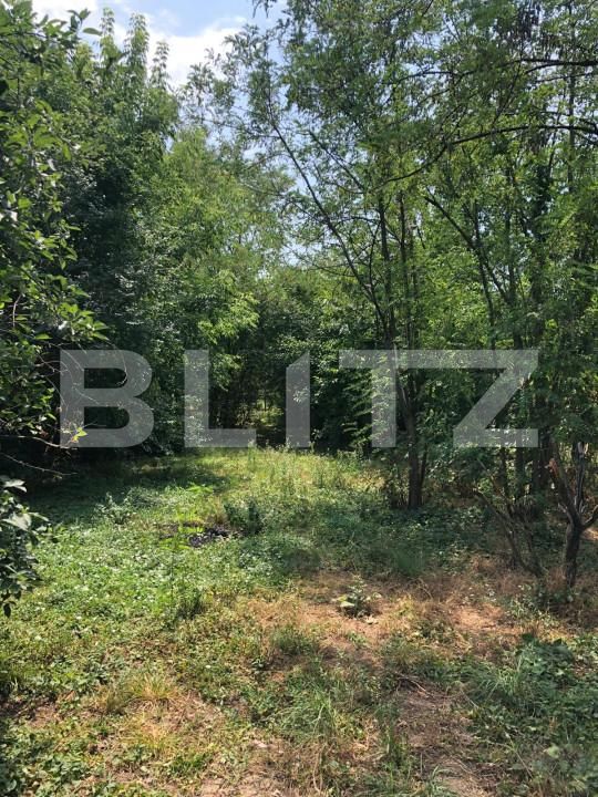 Casa de vânzare 3 camere Exterior Sud - 154975CV | BLITZ Târgoviște | Poza4