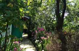 Casă de vanzare 50mp 1101mp teren Priseaca