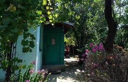 Casă de vanzare 50mp 1101mp teren Priseaca