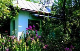 Casă de vanzare 50mp 1101mp teren Priseaca