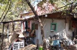 Casă de vanzare 50mp 1101mp teren Priseaca